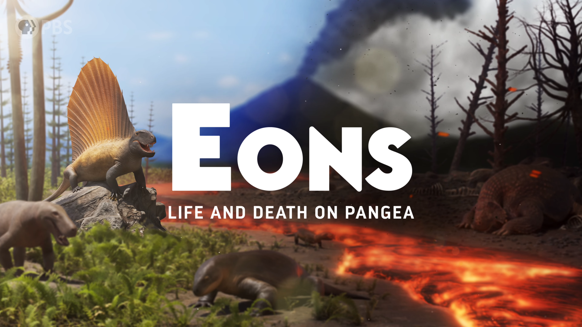 Titlecard for live and death of Pangea example image
