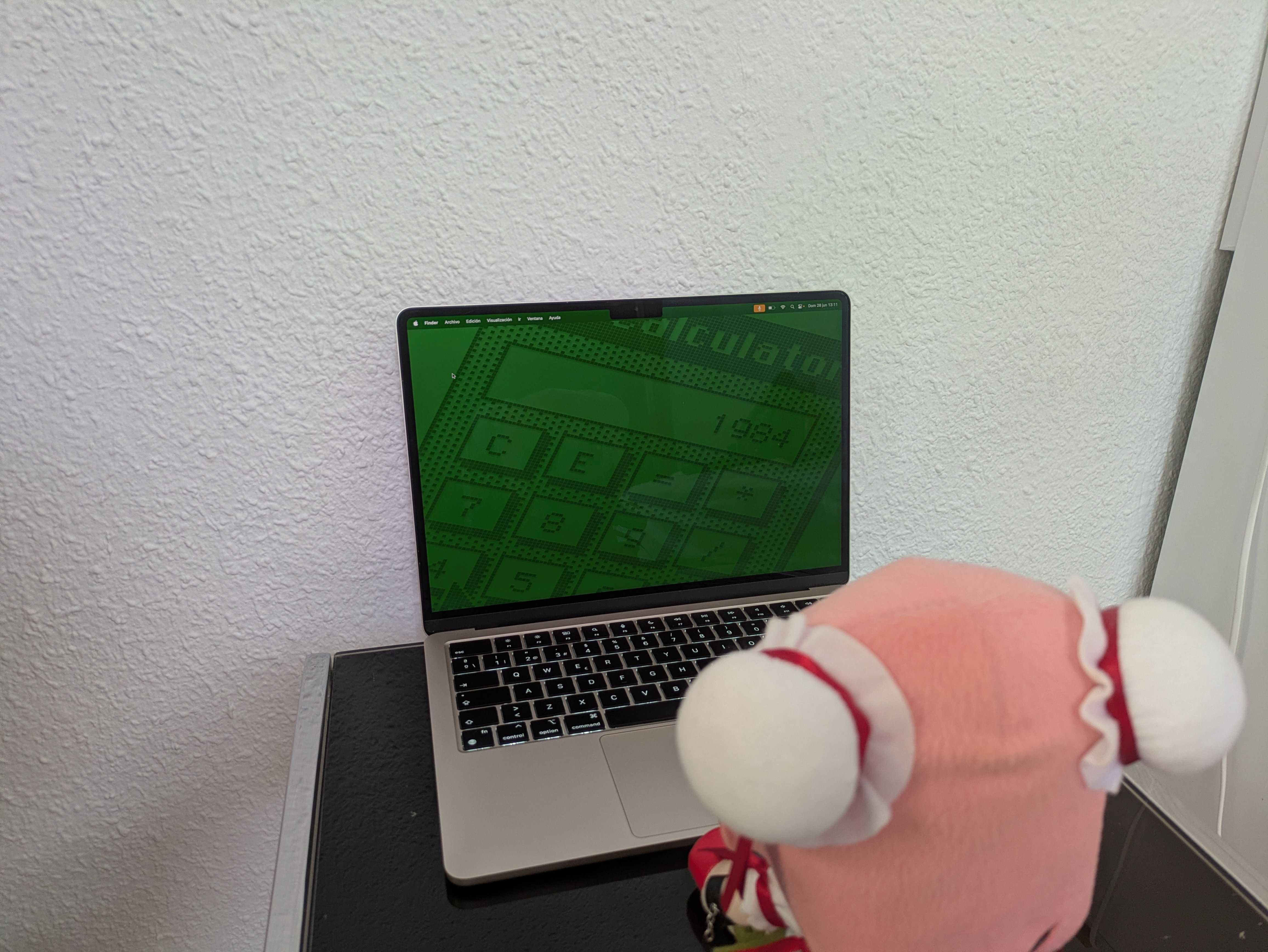 Clearly me using my mac example image