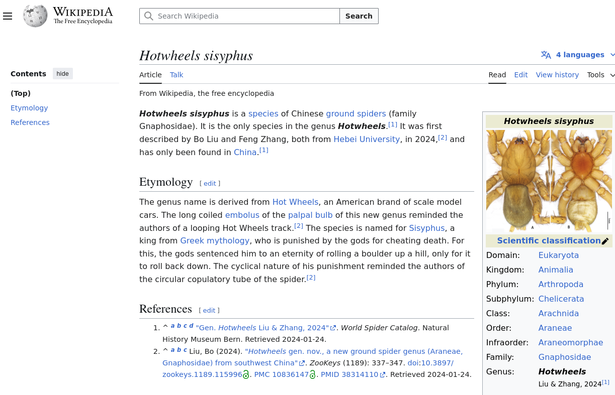 example image